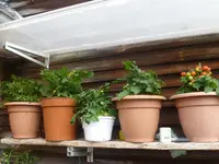 Sommer 2012 019.webp