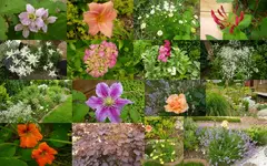 2012-07-05.webp