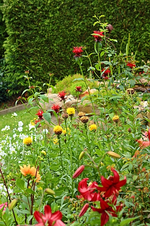 quer übers Hangbeet_smaller.webp