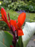 CIMG1124.webp