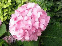 041.webp