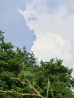 CIMG0700.webp