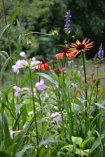 DSC_0034.webp
