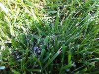 IMG_0764.webp