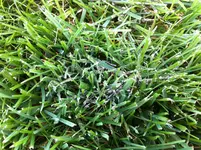 IMG_0765.webp