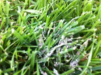 IMG_0766.webp