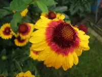 028.webp