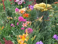IMG_villas blüten1_1024x768.webp
