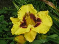 IMG_ab 303.1_800x600.webp