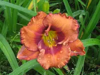IMG_fragezeichen 16.1_800x600.webp