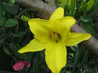 IMG_molokai_800x600.webp