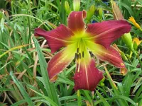 IMG_von lisa_800x600.webp