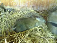 BILD1044.webp