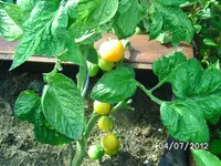 BILD1047.webp