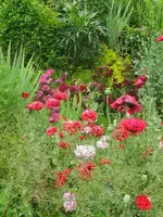 IMG_villas blütenfülle2_576x768.webp