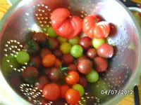 BILD1051.webp
