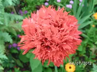 BILD1052.webp