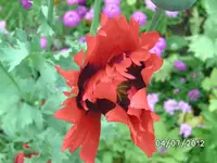 BILD1053.webp