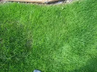 IMG_3364b.webp