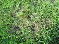 IMG_3365b.webp