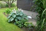 Garten 07 2012 002.jpg