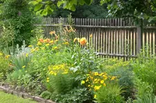 Garten 07 2012 005.webp
