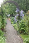 Garten 07 2012 006.jpg