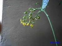 P240612_1334.webp