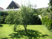 Birnbaum.webp