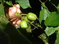 unbekannt02.webp
