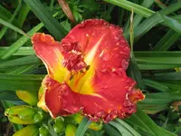 IMG_a 7_1024x768.webp