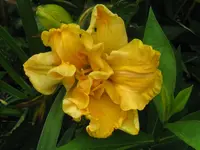 IMG_ab 31_1024x768.webp