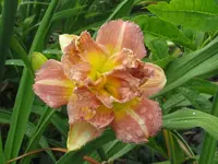 IMG_nagasaki1_1024x768.webp