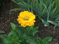 2012_0706garten120004.webp