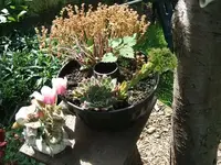 2012_0706garten120024.webp