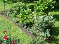 120707 Umbau des Rhodo- Quartiers.webp