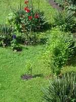 120707 Zentrum des 2. Quartiers.webp