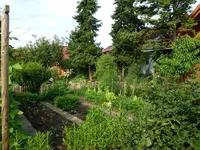 Gemüsegarten.webp