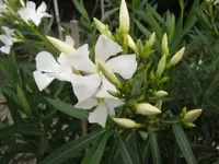 021.webp