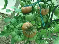 BILD1064.webp