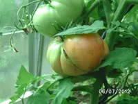 BILD1065.webp