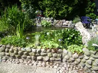 100_0740.webp