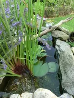 CIMG0724.webp