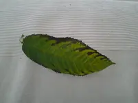 20120708_165500.webp