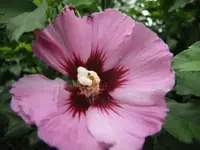027.webp
