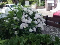 08072012740.webp