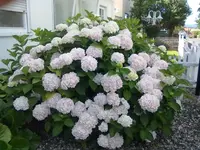 08072012742.webp