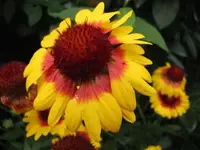 025.webp