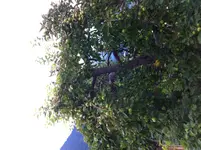 IMG_0657[1].webp