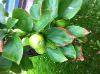 IMG_0659[1].webp